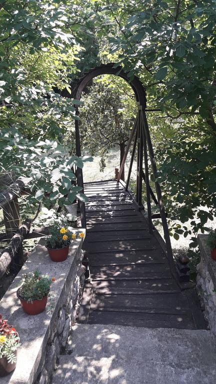 Apartamento Skriveni Raj Vrdnik Habitación foto